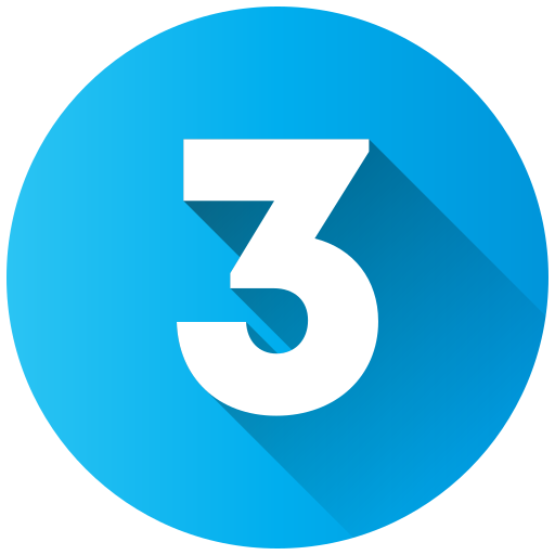 3. Execução e Entrega